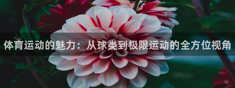 米兰体育官方正版app娱乐网站：体育运动的魅力：从球