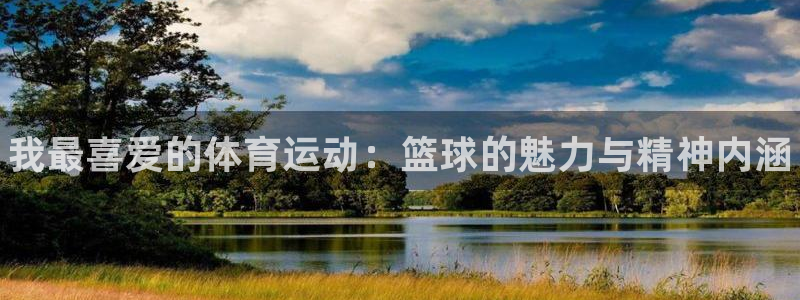 米兰体育官网下载平台假的吗是真的吗：我最喜爱的体育运