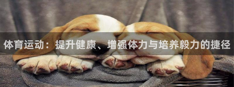 米兰体育官方正版app代理：体育运动：提升健康、增强