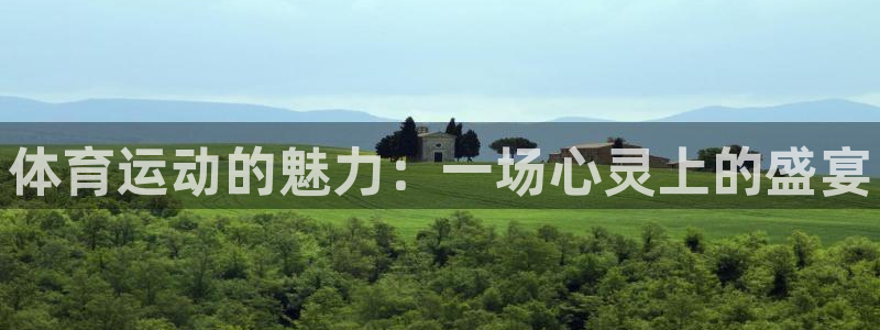 米兰体育官网下载平台是正规平台吗：体育运动的魅力：一