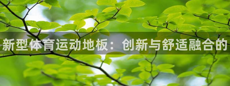 米兰体育官方正版app神州：新型体育运动地板：创新与