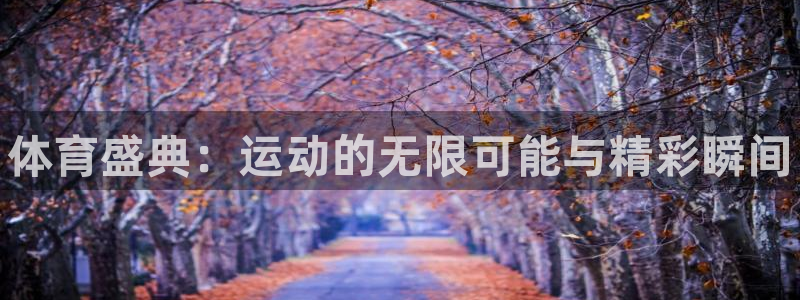 米兰体育官方正版app娱乐网站：体育盛典：运动的无限