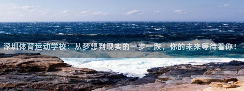 米兰体育官方正版app集团简介：深圳体育运动学校：从