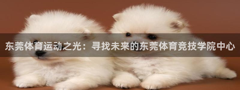 米兰体育官方正版app娱乐40996：东莞体育运动之