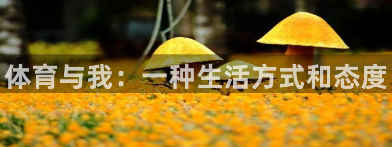 米兰体育官网下载平台注册：体育与我：一种生活方式和态