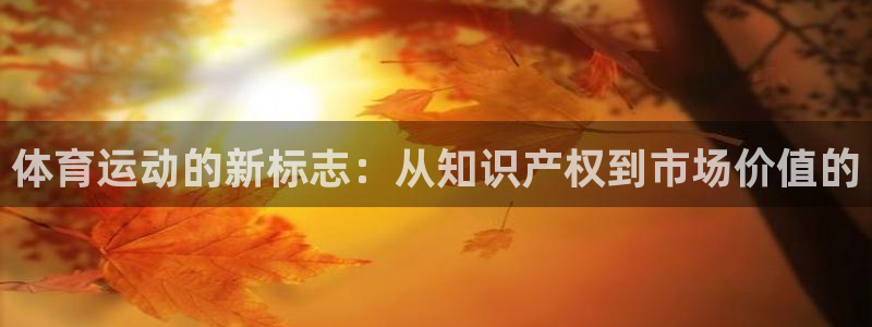 米兰体育官方正版app官方：体育运动的新标志：从知识