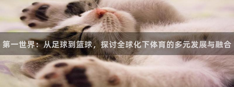 米兰体育官方正版app代理：第一世界：从足球到篮球，