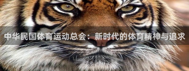 海南米兰体育官网下载：中华民国体育运动总会：新时代的体育精神