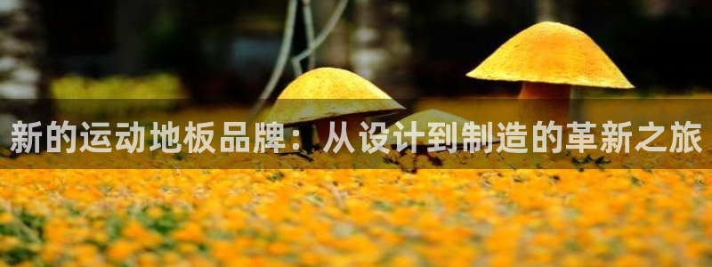 米兰体育官网下载平台注册流程视频：新的运动地板品牌：