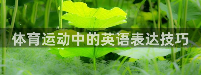 米兰体育官方平台体育：体育运动中的英语表达技巧