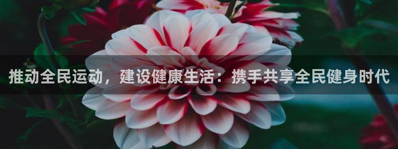 米兰体育官方正版app集团logo：推动全民运动，建