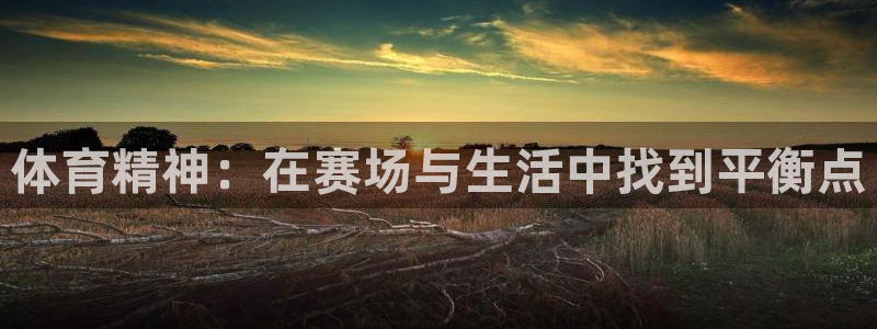 米兰体育官网下载招商电话是多少：体育精神：在赛场与生活中找到