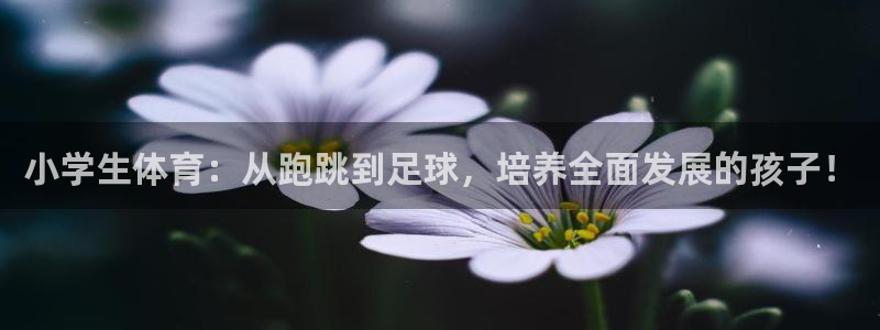 米兰体育官网下载平台注册要钱吗安全吗：小学生体育：从跑跳到足