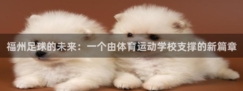 米兰体育官方正版app神州