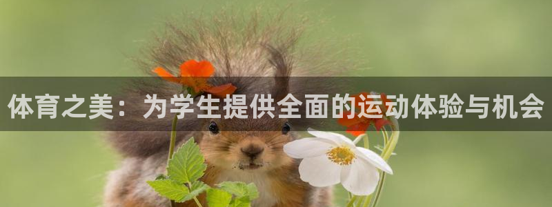 米兰体育官方正版app新能源