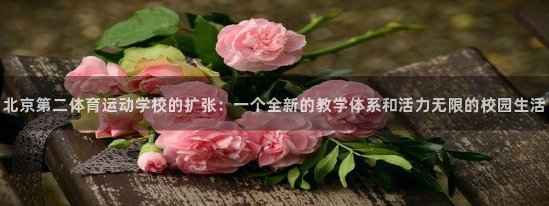 米兰体育官网下载联系电话：北京第二体育运动学校的扩张：一个全